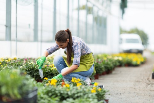 Key elements including plants and hardscaping