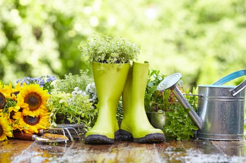 Professional maintenance services for gardens