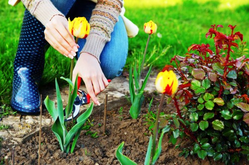 Year-round bloom in a Chislehurst garden