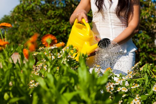 Communal garden maintenance for flats in a busy Chislehurst estate